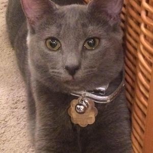 Meet your Posher, Rene